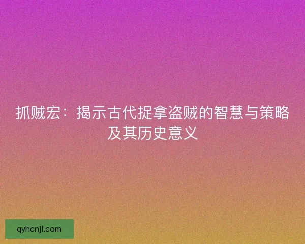 抓贼宏：揭示古代捉拿盗贼的智慧与策略及其历史意义